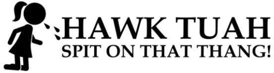 Hawk tuah Dekal